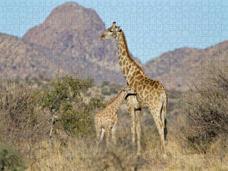 Giraffe mit Jungtier - CALVENDO Foto-Puzzle'