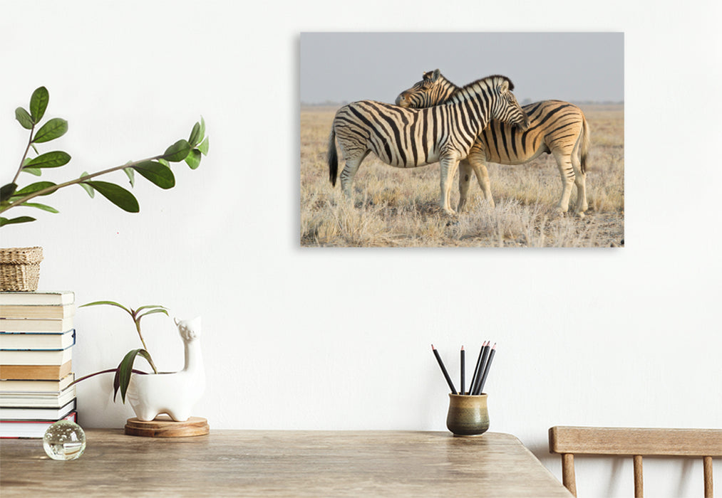 Premium textile canvas Premium textile canvas 120 cm x 80 cm landscape zebras 