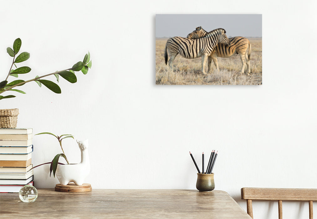 Premium textile canvas Premium textile canvas 120 cm x 80 cm landscape zebras 