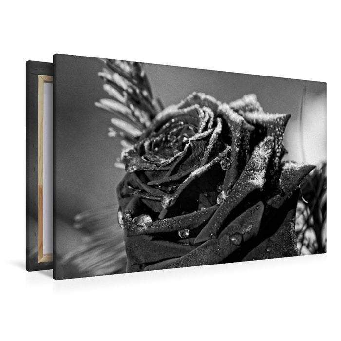 Premium Textil-Leinwand Dezember Melancholie