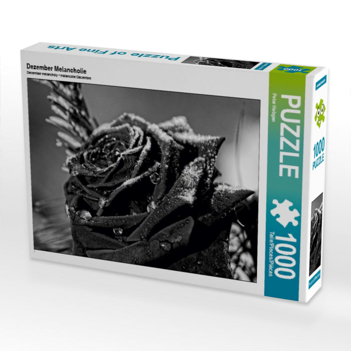 Dezember Melancholie 1000 Teile Puzzle quer - CALVENDO Foto-Puzzle'