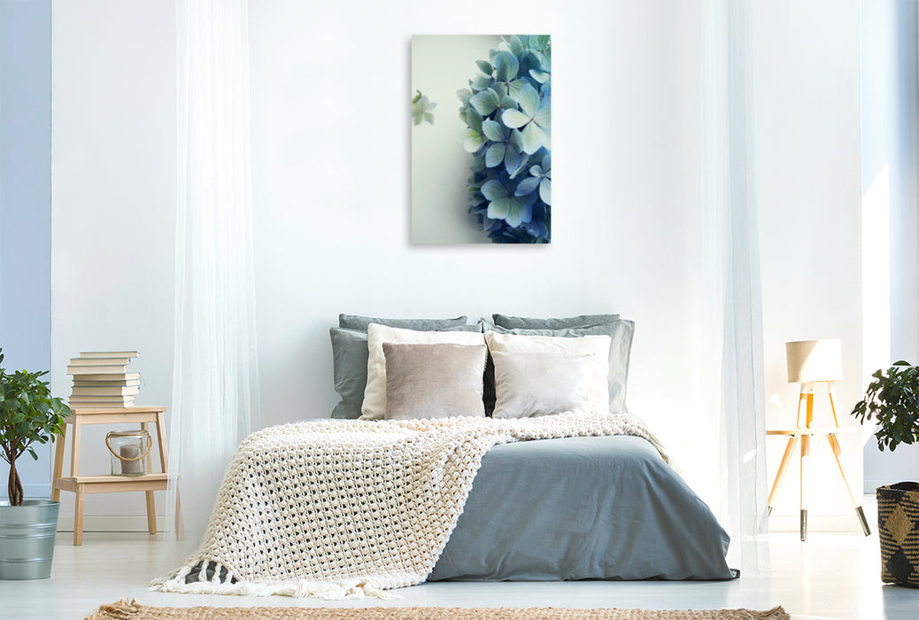 Premium Textil-Leinwand Premium Textil-Leinwand 60 cm x 90 cm hoch Ein Motiv aus dem Kalender Hortensienliebe in Pastell