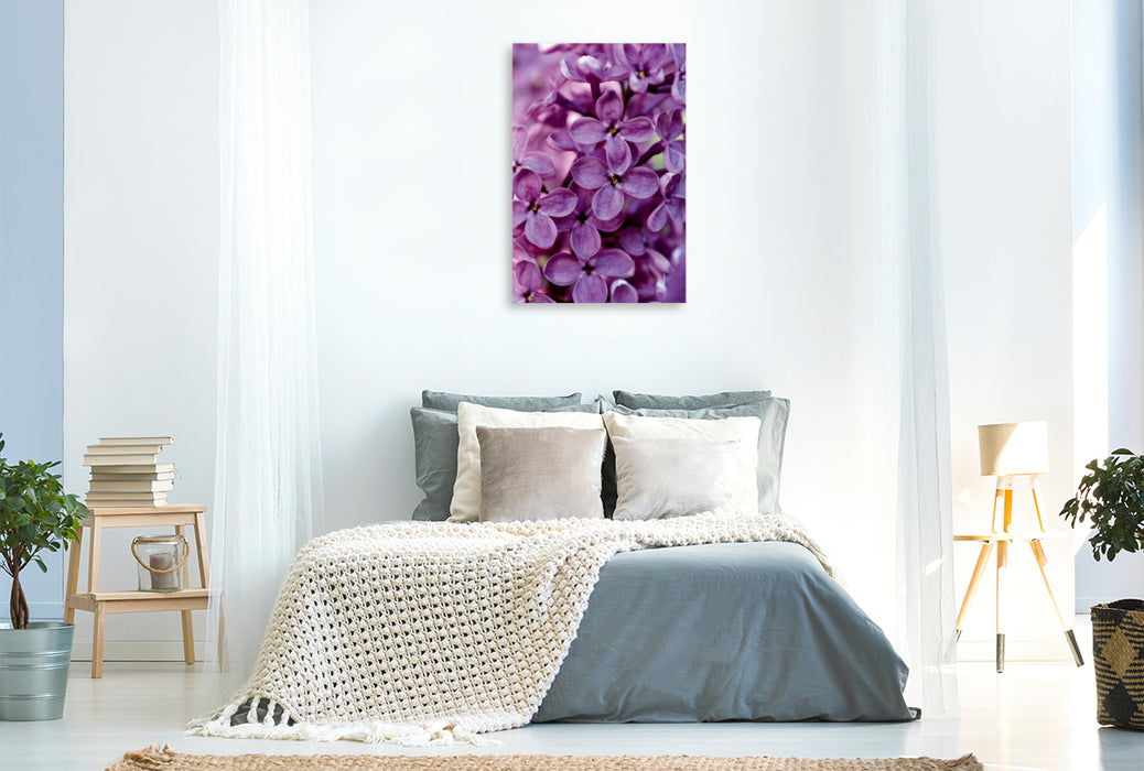 Premium Textil-Leinwand Premium Textil-Leinwand 80 cm x 120 cm  hoch Violetter Flieder
