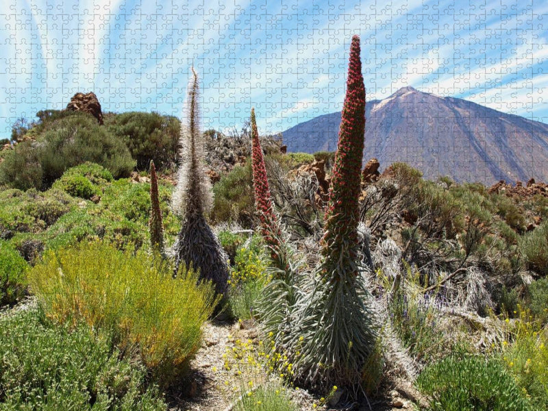 Wildprets Natternkopf - CALVENDO Foto-Puzzle'