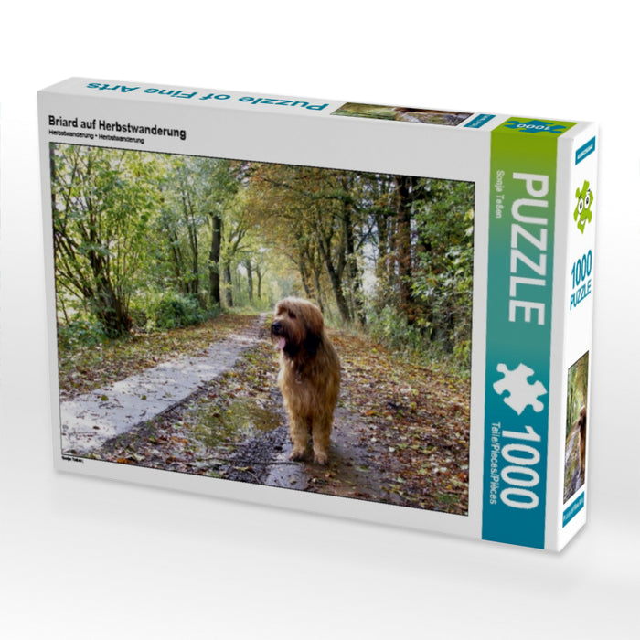Briard auf Herbstwanderung 1000 Teile Puzzle quer - CALVENDO Foto-Puzzle'