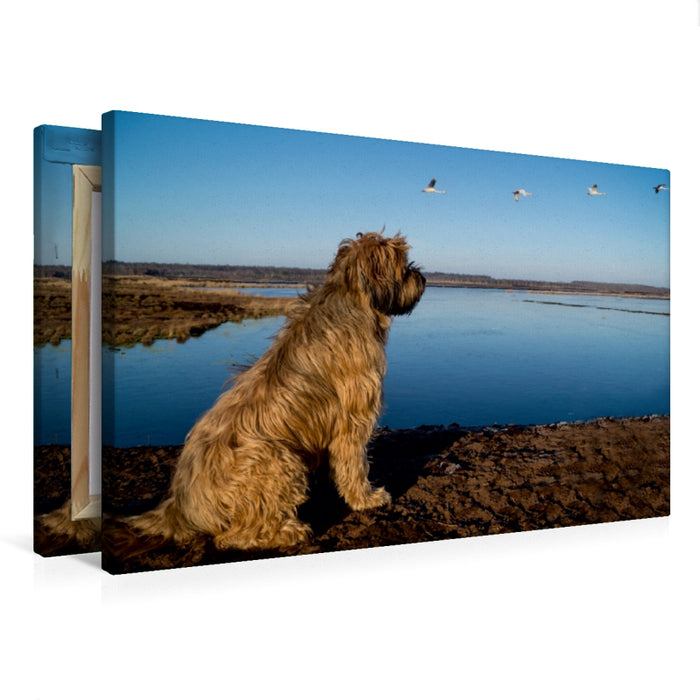 Premium Textil-Leinwand Berger de Brie