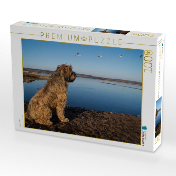 Berger de Brie - CALVENDO Foto-Puzzle'