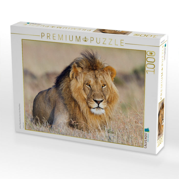 Afrika: Majestätischer Löwe in der Masai Mara - CALVENDO Foto-Puzzle'