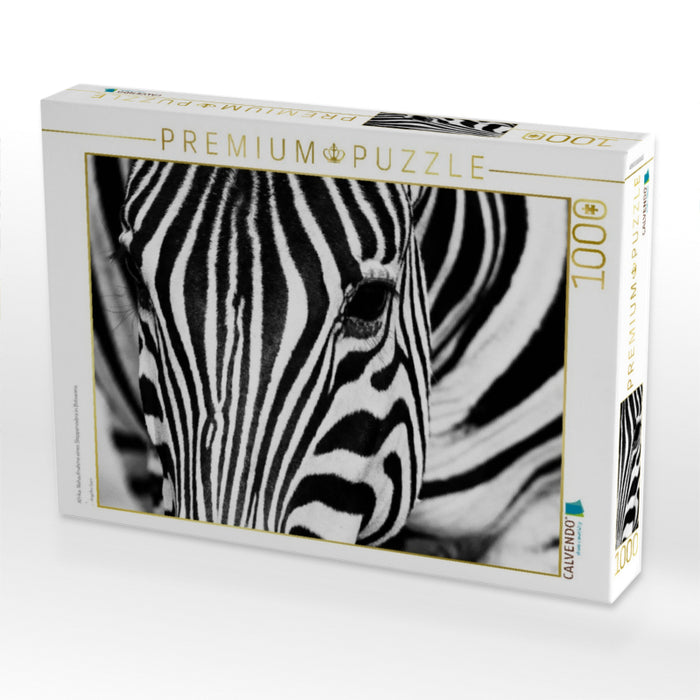 Afrika: Nahaufnahme eines Steppenzebra in Botswana - CALVENDO Foto-Puzzle'