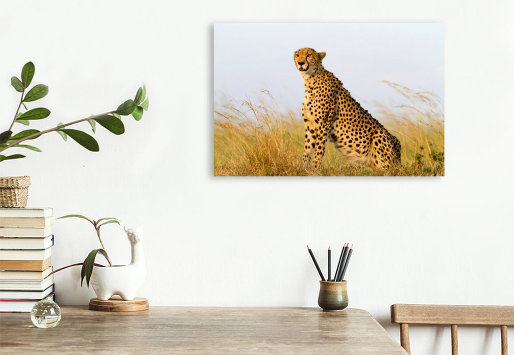 Premium Textil-Leinwand Premium Textil-Leinwand 120 cm x 80 cm quer Afrika: Gepard in der Masai Mara, Kenia