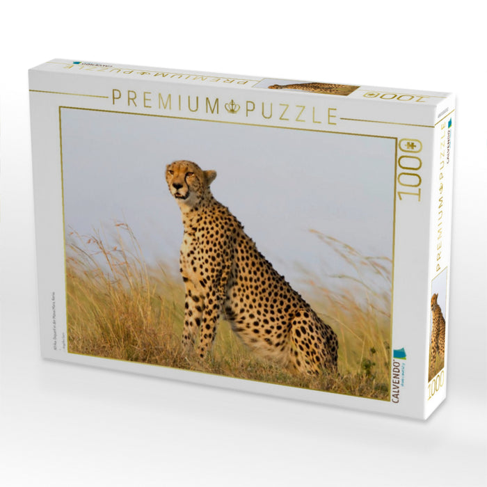 Afrika: Gepard in der Masai Mara, Kenia - CALVENDO Foto-Puzzle'