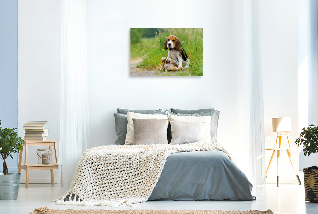 Toile textile premium Toile textile premium 90 cm x 60 cm paysage Chiot Beagle avec peluche 