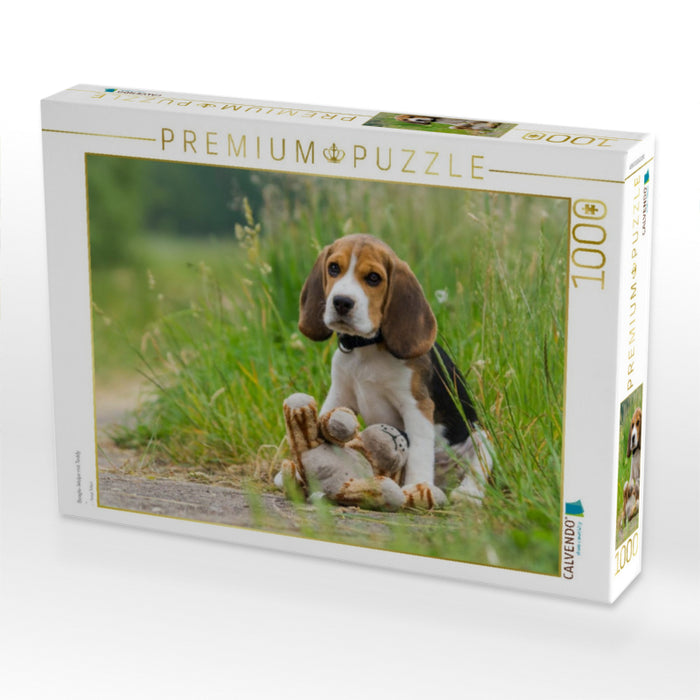 Beagle-Welpe mit Teddy - CALVENDO Foto-Puzzle'
