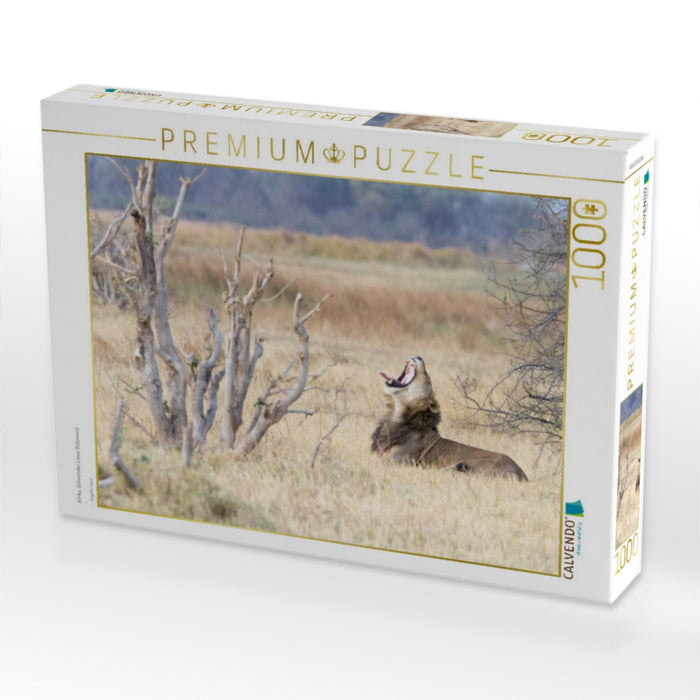 Afrika: Gähnender Löwe, Botswana - CALVENDO Foto-Puzzle'