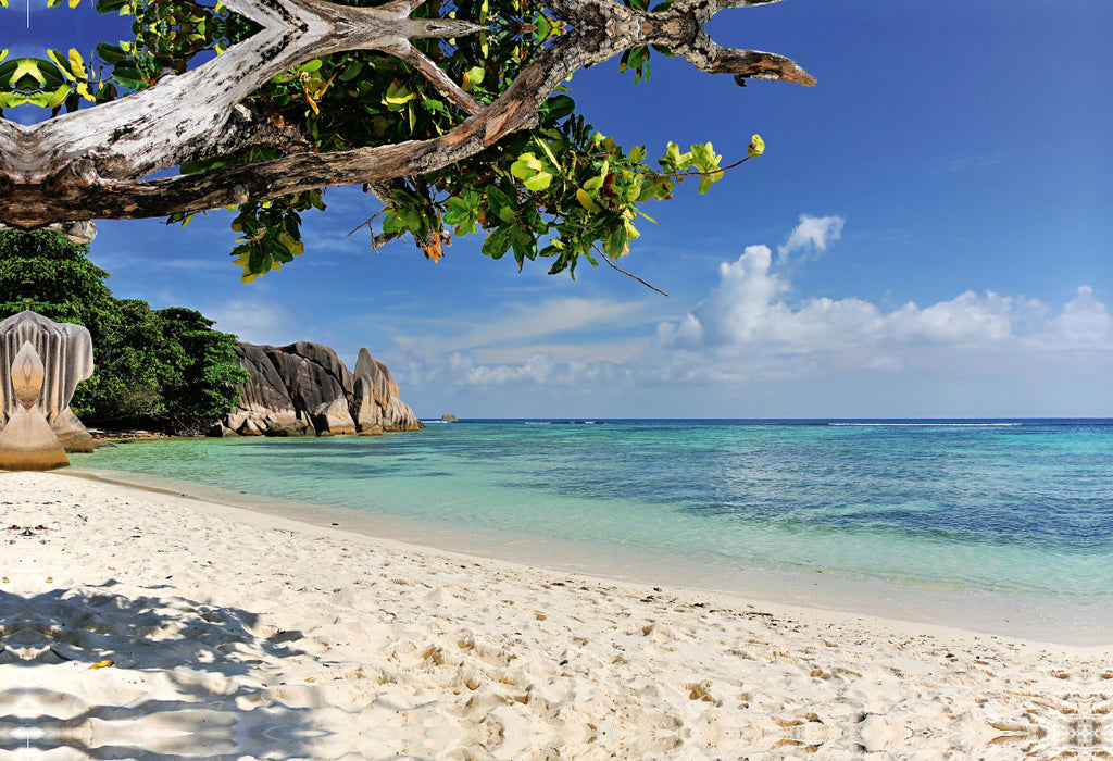 Premium Textil-Leinwand Traumstrand Seychellen