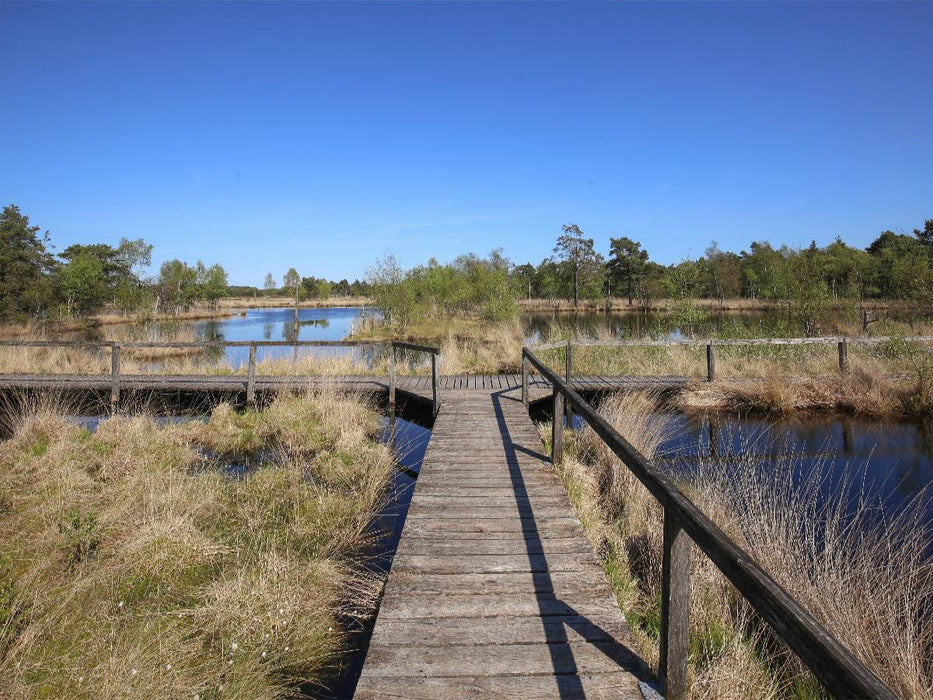 Kreuzung im Pietzmoor bei Schneverdingen - CALVENDO Foto-Puzzle'