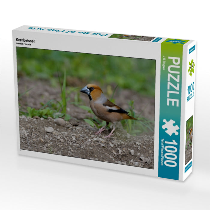 Gros-bec - Puzzle photo CALVENDO 