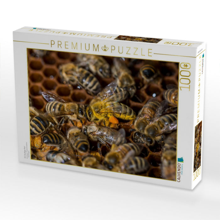 Ein staubiger Kerl - CALVENDO Foto-Puzzle'
