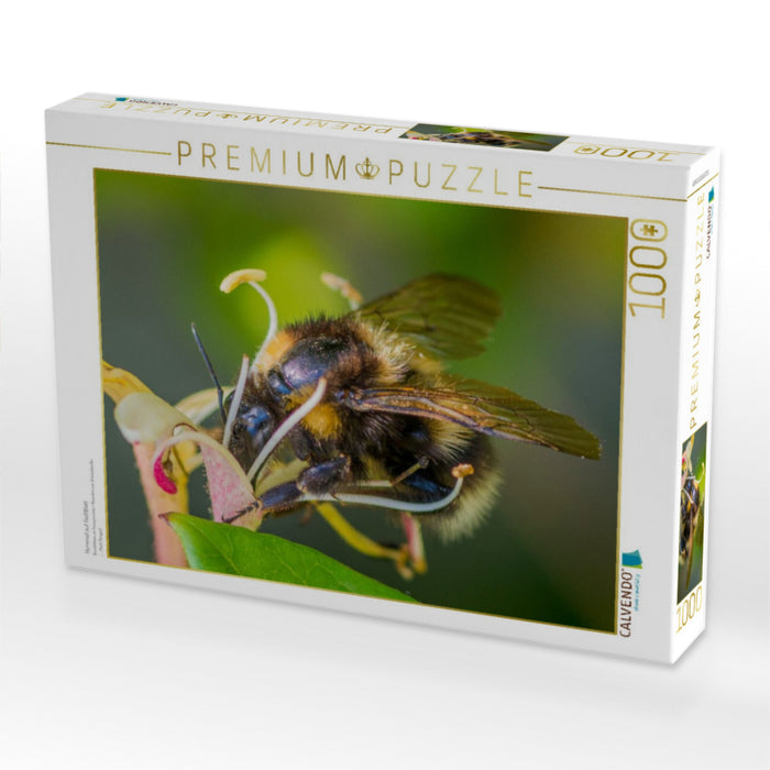 Hummel auf Geißblatt - CALVENDO Foto-Puzzle'
