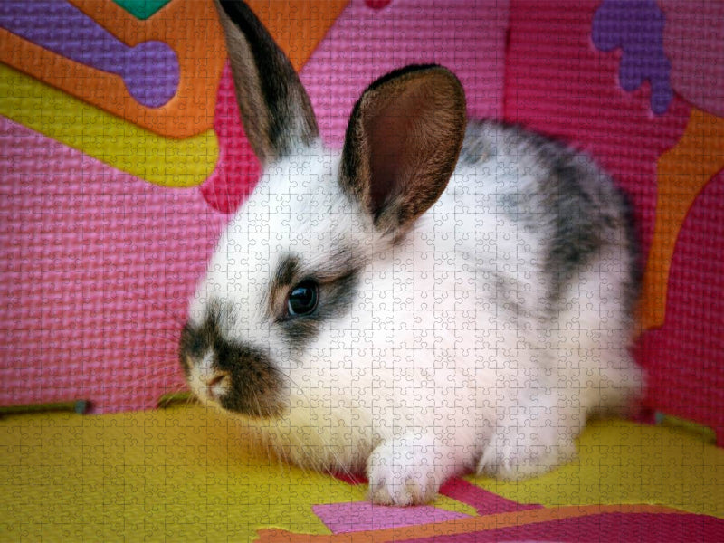 Lustiges Kaninchen - CALVENDO Foto-Puzzle'