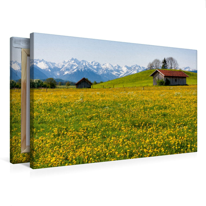 Premium Textil-Leinwand Wiese bei Agathazell