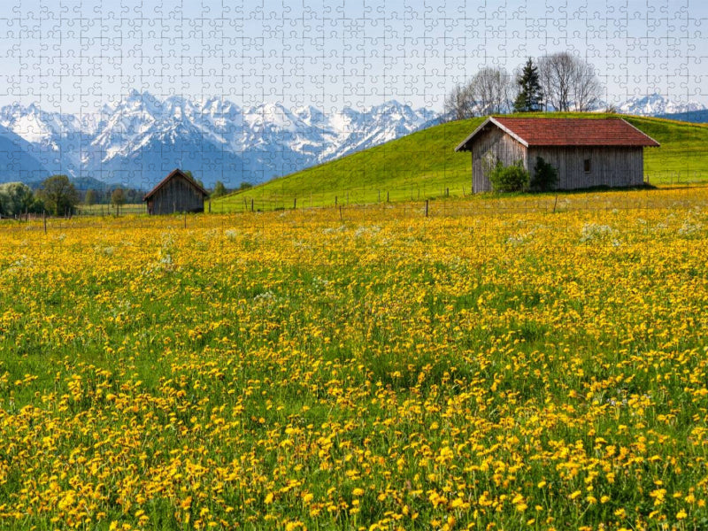 Wiese bei Agathazell - CALVENDO Foto-Puzzle'