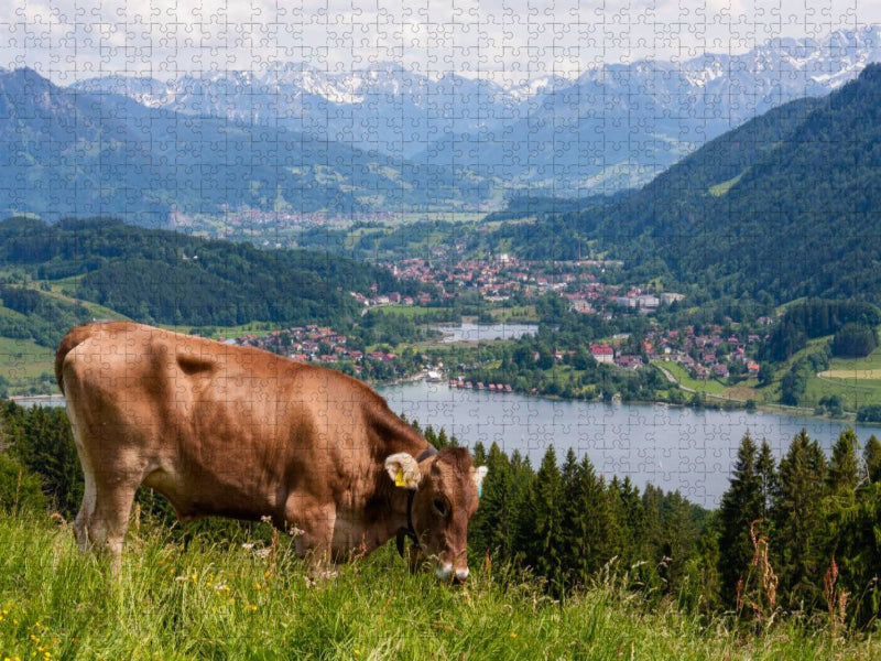 Ein Motiv aus dem Kalender Oberallgäuer Landschaft - CALVENDO Foto-Puzzle'