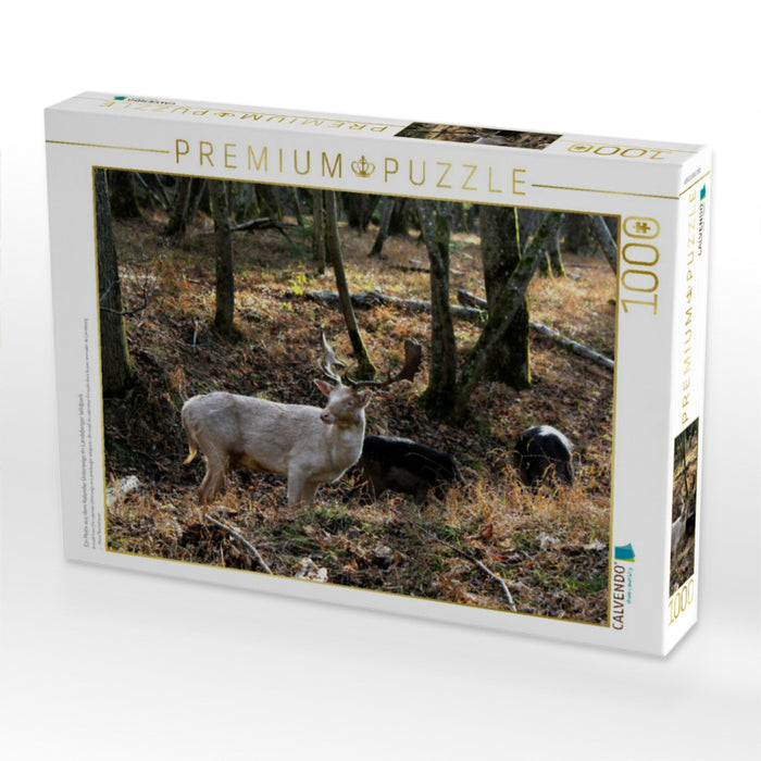 Ein Motiv aus dem Kalender Unterwegs im Landsberger Wildpark - CALVENDO Foto-Puzzle'