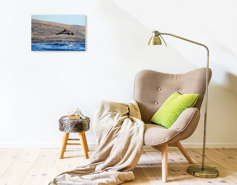 Premium Textil-Leinwand Delfin vor La Gomera