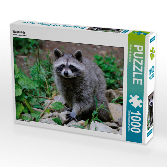 Raccoon - CALVENDO photo puzzle 