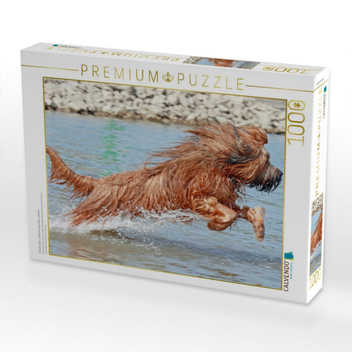 Briard voller Lebensfreude beim spielen - CALVENDO Foto-Puzzle'