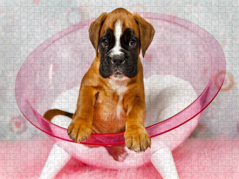 Knuddelalarm - Boxerbaby - CALVENDO Foto-Puzzle'