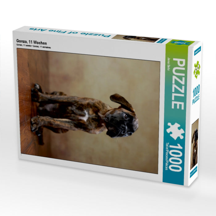 Gonzo, 11 Wochen 1000 Teile Puzzle hoch - CALVENDO Foto-Puzzle'