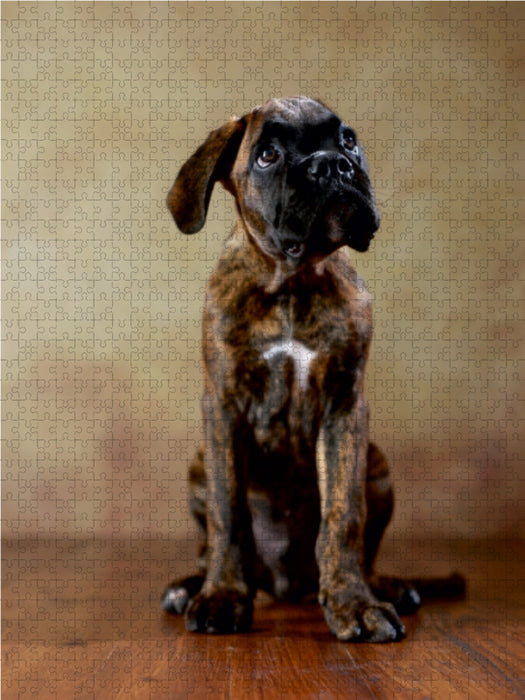 Gonzo, 11 Wochen 1000 Teile Puzzle hoch - CALVENDO Foto-Puzzle'