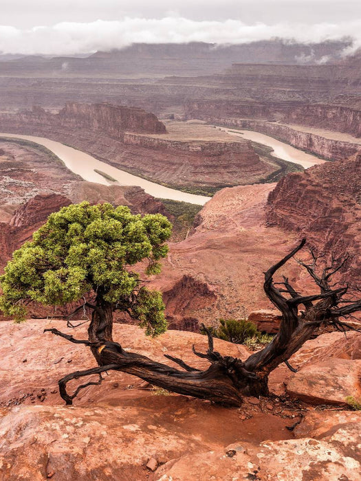 Dead Horse Point State Park - Utah, USA - CALVENDO Foto-Puzzle'