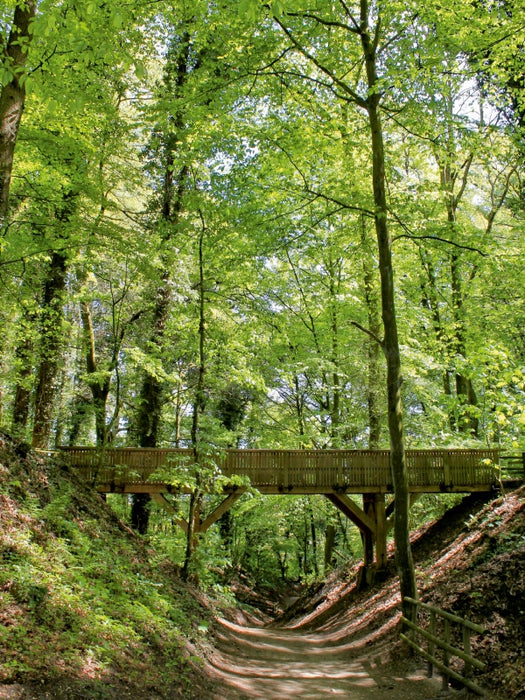 Oermter Berg - Ausflugsziel 1000 Teile Puzzle hoch - CALVENDO Foto-Puzzle'
