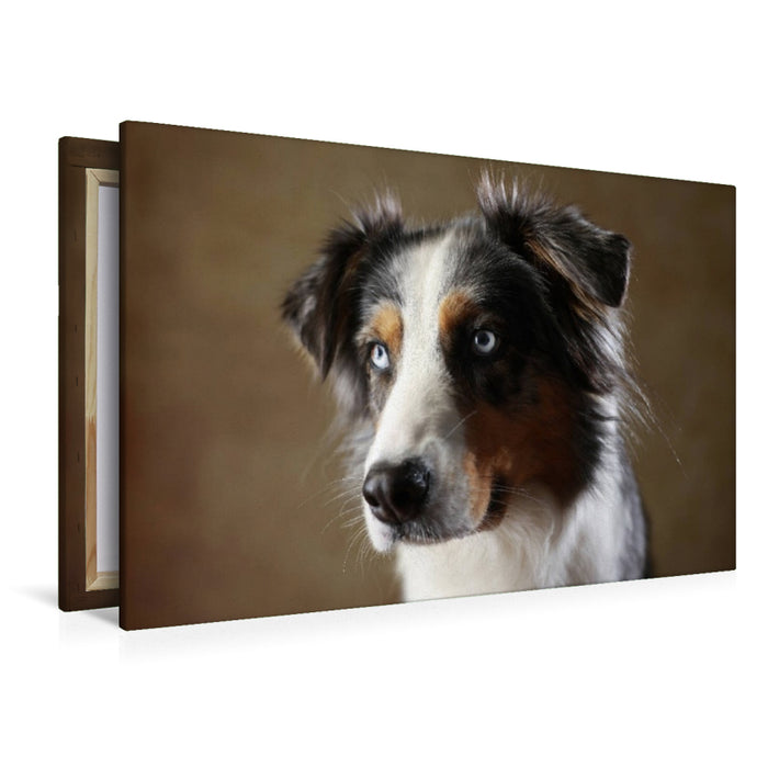Premium Textil-Leinwand Dakota, 9 Jahre