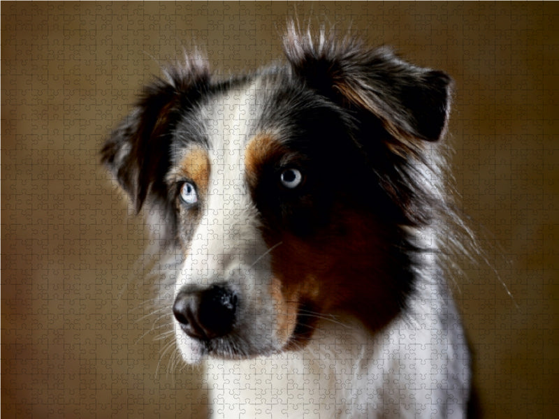 Dakota, 9 years old - CALVENDO photo puzzle 