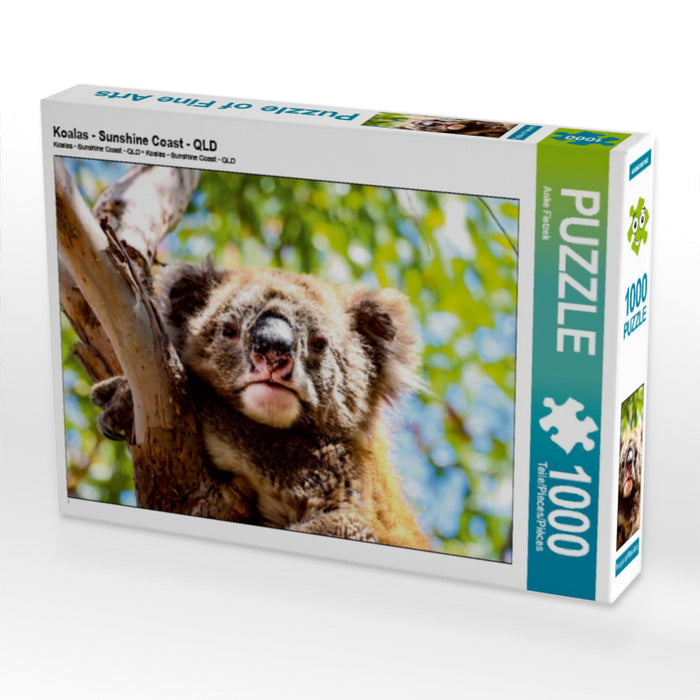 Koalas - Sunshine Coast - QLD 1000 Teile Puzzle quer - CALVENDO Foto-Puzzle'
