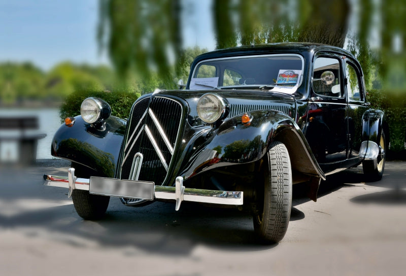 Premium Textil-Leinwand Citroen
