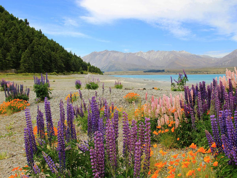 Lake Tekapo - CALVENDO Foto-Puzzle'