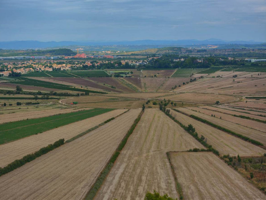 Etang de Montady - CALVENDO Foto-Puzzle'