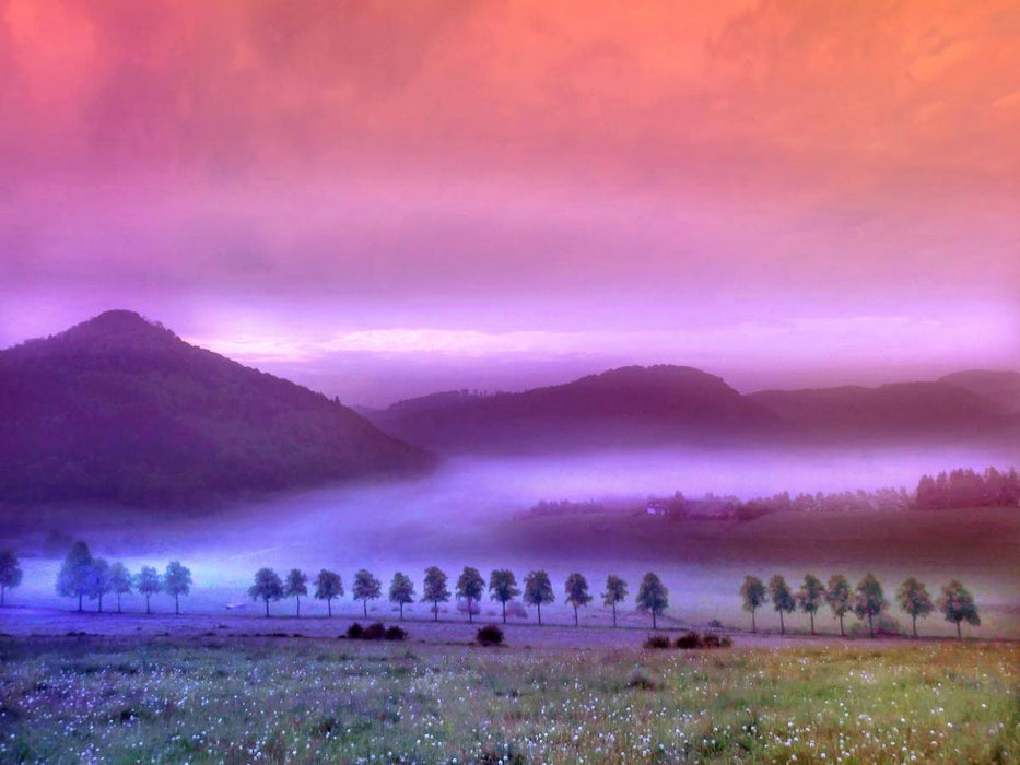 Nebelland - CALVENDO Foto-Puzzle'