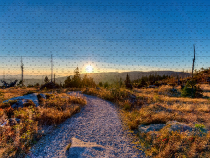 Morgens auf dem Dreisessel 1000 Teile Puzzle quer - CALVENDO Foto-Puzzle'