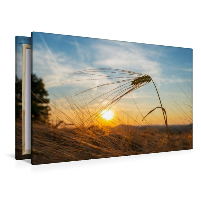 Premium Textil-Leinwand Getreide