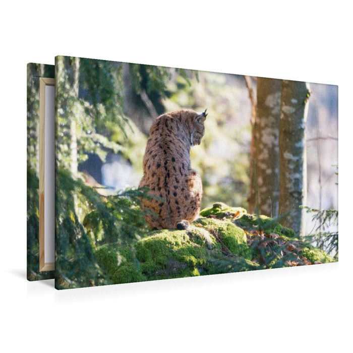 Toile textile premium Toile textile premium 120 cm x 80 cm paysage lynx 