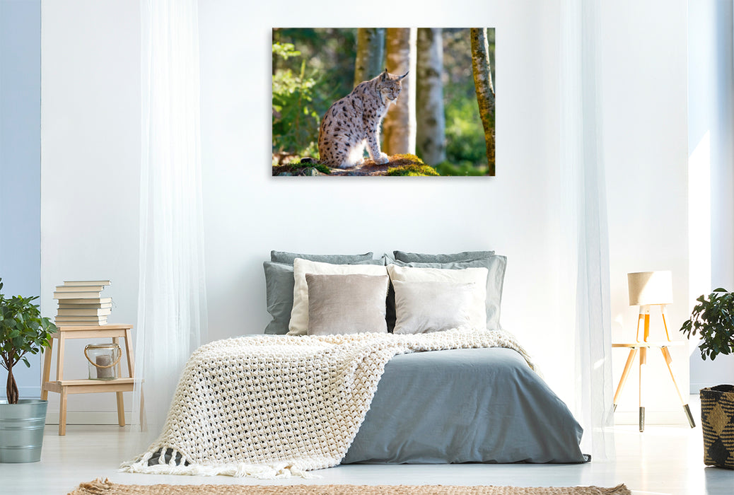 Premium Textil-Leinwand Premium Textil-Leinwand 120 cm x 80 cm quer Ein Motiv aus dem Kalender Faszination Luchs im Bayerischen Wald