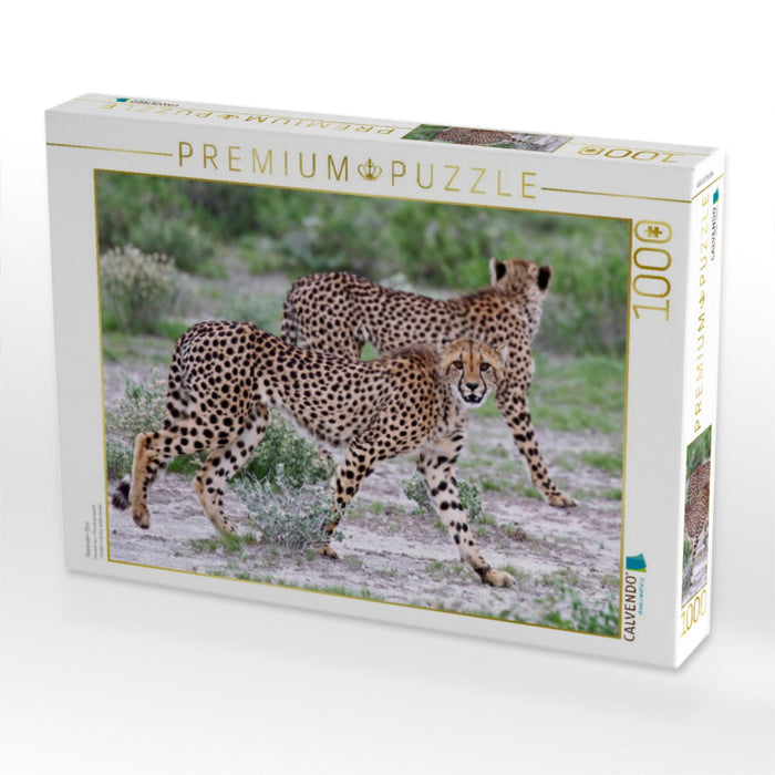 Geparden-Duo - CALVENDO Foto-Puzzle'