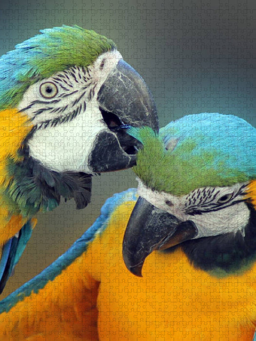 Liebe - CALVENDO Foto-Puzzle'