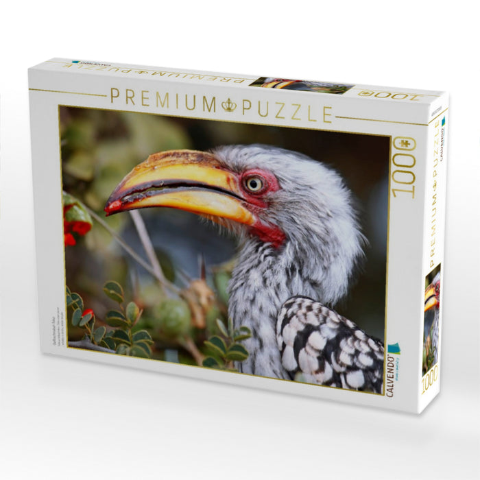 Gelbschnabel-Toko - CALVENDO Foto-Puzzle'